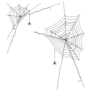 Toile araigne Halloween