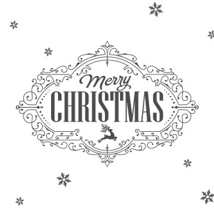  merry christmas chic